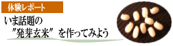 [���ƥ����]���������ȯ�긼�Ƥ��äƤߤ褦