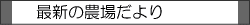 �ǿ�����������