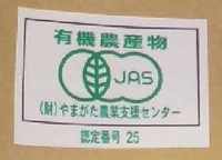 JASޡ