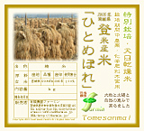 ǯ٥ 