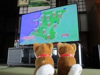 今日も暑いナー 