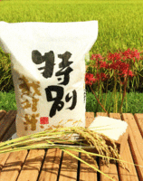 6ǯܸ̺ơˤޤ5kgǹ