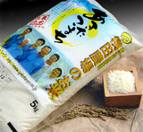 新米まで待てない、そんなあなたに 