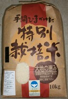 佪λޤ 