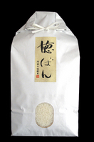 ơФ١ԻѡԻѡ㲹