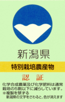 ǧڥ 