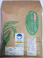 㸩 ǧúơʸơˡߥ륭