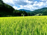 飛騨盆地は海抜約500m