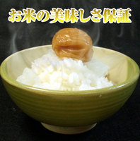 ¿ǿ٤Ƚ뤪Ǥ