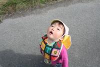 ڤä衼 