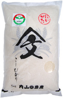 6ǯ 㸩̺ƥҥ