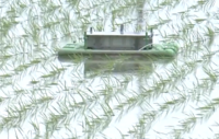 アイガモロボット除草