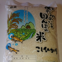 ̵ƥҥ긼