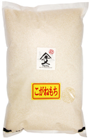 6ǯ 㸩֤ͤ()