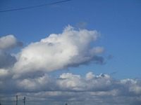 そんなふうに見えませんか？ 