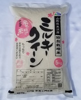 ̺ƥߥ륭