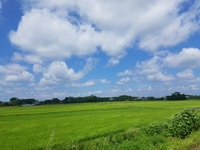 ˭ʼ줿