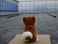 ここで苗が育つんだー 