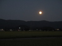 当地の夜の街灯は、こんな密度です 