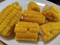 夏はトウモロコシ 