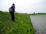 田植え終了・草刈り開始 