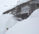雪に埋もれるぅ。 